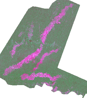 Sentinel-1 Time Series